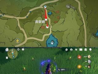 《原神空草种子激活方法》（草种子空壳怎么激活？教你解决问题！）