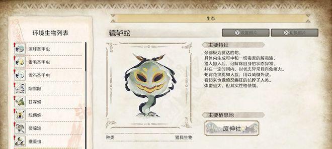 怪物猎人崛起