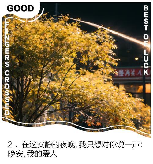 实现完美一天的关键方法（达成心愿的重要步骤）