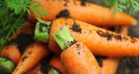 《凯的炖肉出装铭文攻略》（打造最强爆发输出，让炖肉无人能挡）