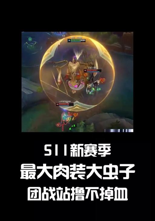 大虫子福星出装最新攻略（尽享无敌输出！打造强势大虫子）