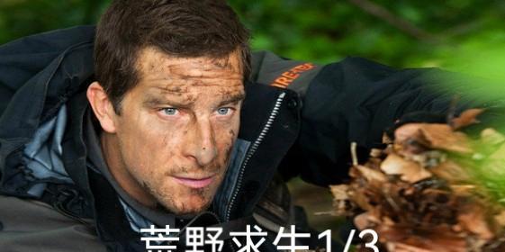 成为荒野求生的高手（掌握这些技能，让你在荒野中游刃有余）