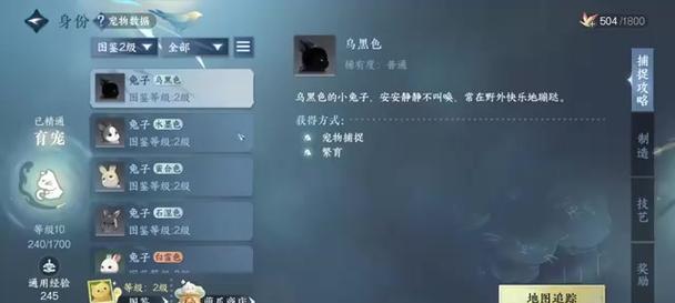 《弹弹堂宠物技能升级攻略》（提升战斗力，轻松获得胜利！）