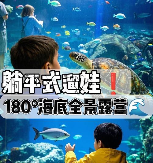 探索广州海底世界的游戏攻略（发现海底奇迹，解锁无限乐趣）