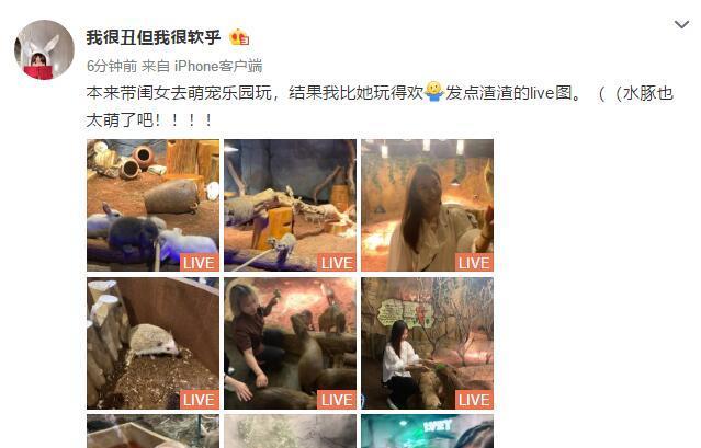 仙女必备萌宠游戏攻略（探索神秘世界，与可爱伙伴并肩战斗！）