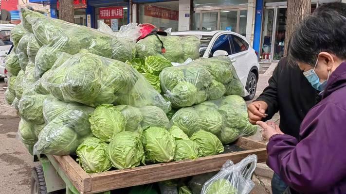 《疯狂蔬菜抢购攻略》（用战术与策略，成为抢购高手！）