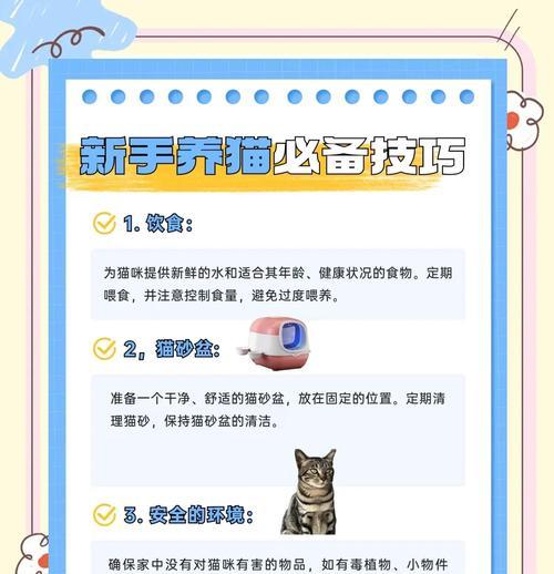 《爱猫经典小游戏攻略大全》（带你领略爱猫游戏的乐趣）
